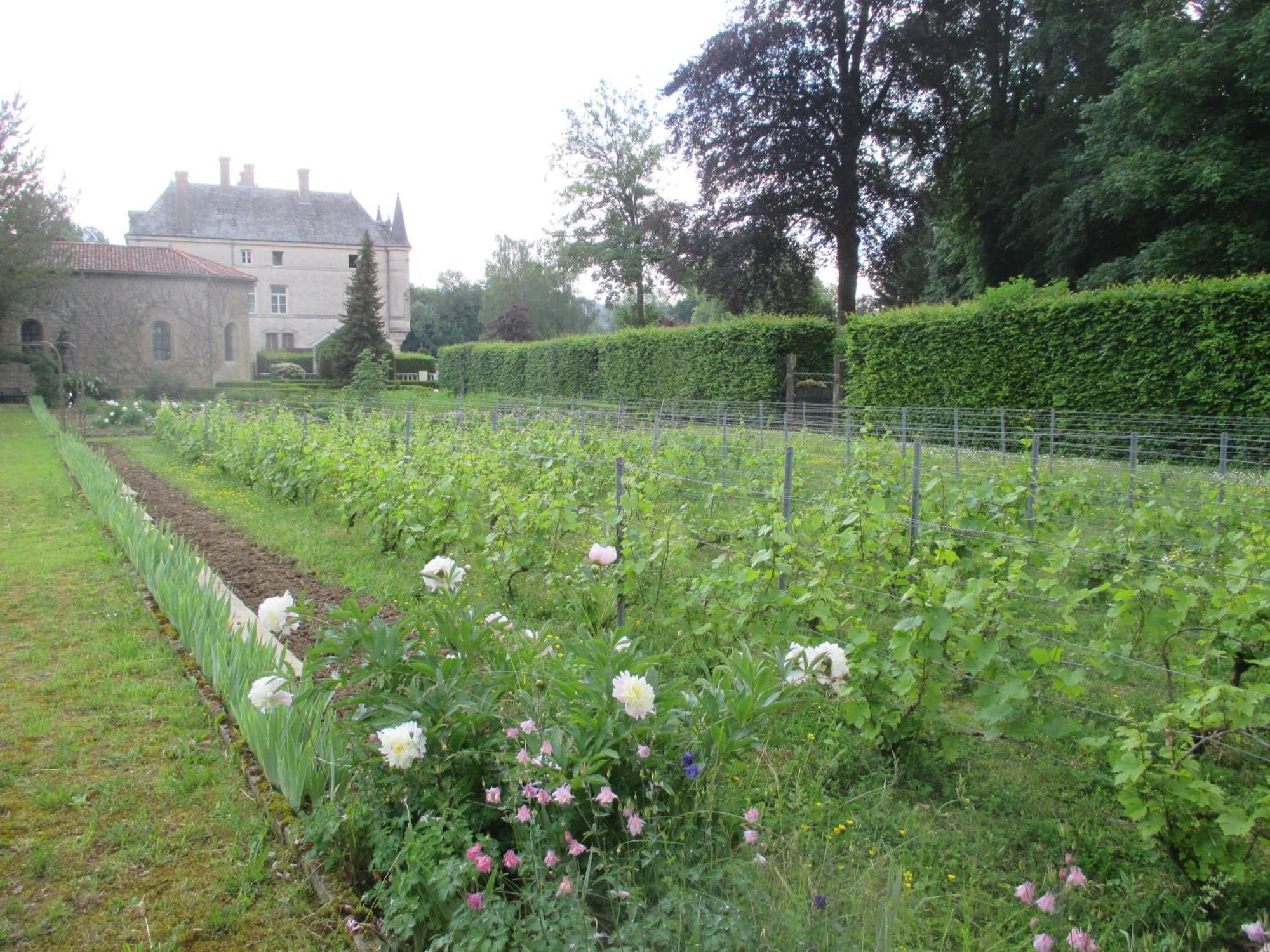 Chateau Des Monthairons Hotel Restaurant Gastromaison Spa Privatif Les Monthairons Eksteriør billede